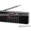 Dual channel portable speaker with fm radio