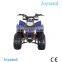 Electric Start Engine Kids ATV For Sale