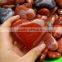 Red Jasper Stone Hearts Romantic Crystal Love Gifts