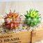 We Export Succulent Plants Wholesale Artificial Succulent Plants