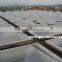 transparency A-frame fiberglass skylight dome panels