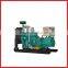 50kw natural gas/biogas generator set