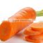 Export standard Fresh vegetable Carrot Grade A