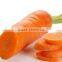 hot sale Fresh Carrot Factory directly supply Grade A