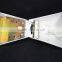250w hps street light street lamp street light lamp street light shield aluminium street lighting classic street light
