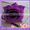 Beautiful Purple Rose Head for Wall Decoration