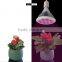 24w  solar home light red & blue emitting IP65 LED Grow Light solo lamps for Gardening