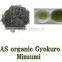 JAS Organic "GYOKURO Mizuumi" GREEN TEA : Organic Fist Flush Loose Leaf Teas Made in Japan