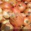 Yellow Onions WITH HIGH QUALITY FROM EGYPT