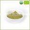 100% Pure Natural Plant Matcha Powder Flavored Green Tea Extract