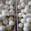 Small Onion Skin Peeler/Industrial Onion Peeler/Onion Peel Skinner Machine