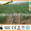 DAYU Irrigation - Drip Pipe for irrigation system in farm