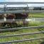 Heavy Duty 110x40mm Cattle Yard Panels in 2.8m long