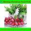 Disposable Use Decorative Food & Drink Sticks