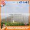 PE film tomato greenhouse roll up motor for ventilation steel frame