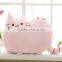 New Arrival 2017 Customized Pusheen Plush Toy Cat