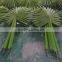 Artificial palm tree leaves