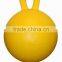 EVA pet ball pet toys