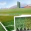 2016 Popular Practical Artificial Grass Sports Field for Sale