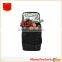 Travel Insulated Wine Carrying Cooler Bottle Sleeve with Detachable and Adjustable Strap Great for Picnic Beach Days Party