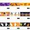 hi-ana ribbon 160 single face printed grosgrain ribbon for Halloween celebrate