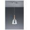 Hanging Pendant Lamps Celling Lighting Metal And Wood Shade E26 Painting