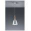 Hanging Pendant lamps celling lighting metal and wood shade E26 painting