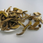 Factory Price Premium Quality Chinese Dried Boletus Edulis Sliced B Grade