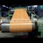 color coated galvanized steel coil ppgi origin in   China  big quantity of spot supply