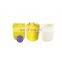 0.55kw industrial Paddle Chemical liquid soap mixer agitator motor with 300L dosing tank for water treatment