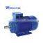 AC Gost Electric Motor