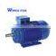 AC gost electric motor