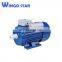permanent magnet synchronous motor