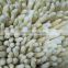 Sinocharm BRC A Approved High Quality IQF Frozen White Asparagus Cut
