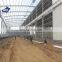 prefabricated quick install warehouse/ workshop /plant /hangar steel structure building