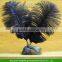 Beautiful Ostrich Large Feather colorfull Wedding Craft Decoration