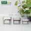 5g 15g 30g 50g Double Wall Plastic Facial Moisturizer Jar with Square Bottle