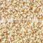 RICE MILING UNIT MODEL SB-10D FOR SALE