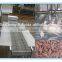 segmentation conveyor!poultry equipment/chicken plucking machine