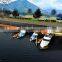 Modular floating dock
