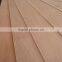 Eucalyptus Plywood 1220*2240 mm