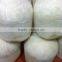 fresh coconut