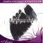 Wholesale Virgin Human Hair Weft 3 bundle And 1 Closure 10a Virgin Peruvian Hair