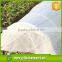 China Supplier pp Spunbond Nonwoven Fabric ss Agriculture Nonwoven Fabric With UV Resistant for Vegetable Supplier's Choice