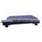 Digital Floor Weighing Electronic Scale UW-F001