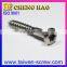 Promotion Product Stainless Steel Self Tapping concrete Screw