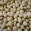 2015 CHINA yellow soybeans with high quality FOR SALE