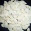 Supply Snow White Pumpkin Seeds with Good Quality