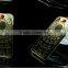 LED Light Flash TPU+PC Hybrid Phone Case for iPhone 6 iphone 5S Light Phone cases