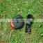 led flashlight solar power rear light